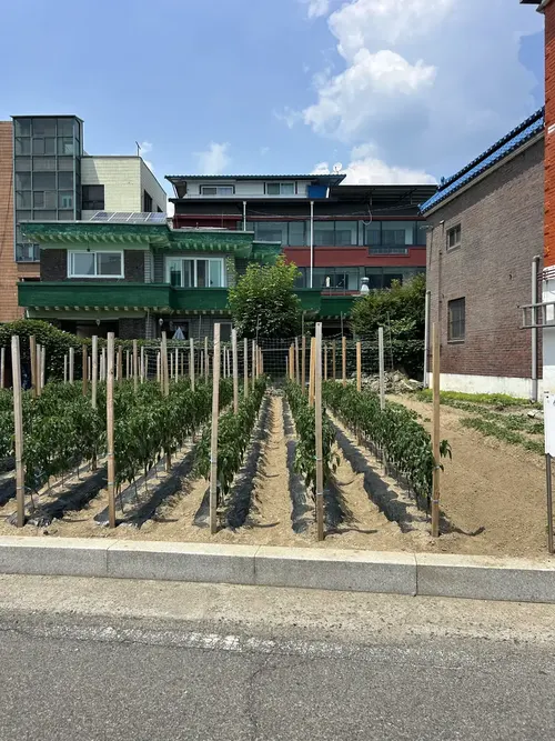 밭 둘레에 펜스가 없던 시공 전 모습